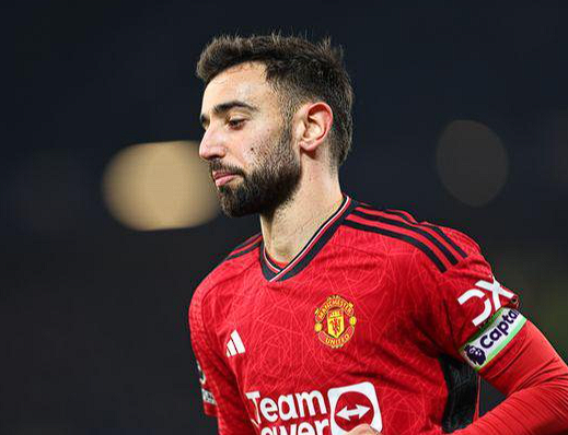 费迪南德力挺B费:赛场“抱怨”实为积极交流